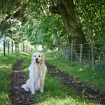 Newlands Farm Stables Holiday home Kendal