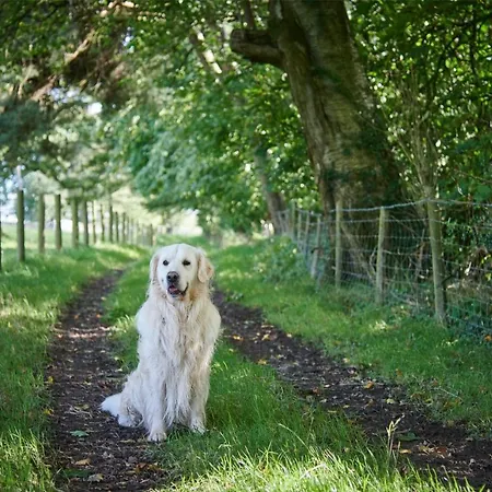 Newlands Farm Stables Vakantiehuis Kendal
