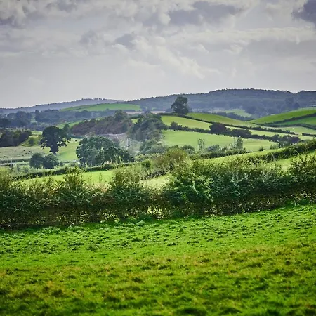 Newlands Farm Stables * Kendal