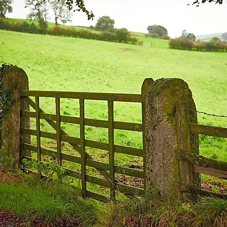 Newlands Farm Stables *