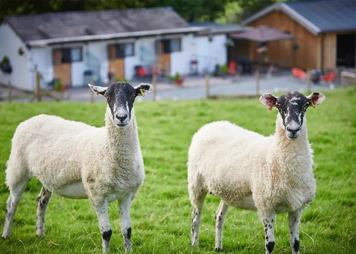 Newlands Farm Stables Kendal