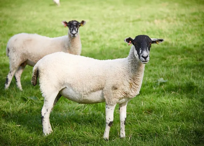 Newlands Farm Stables Holiday home Kendal