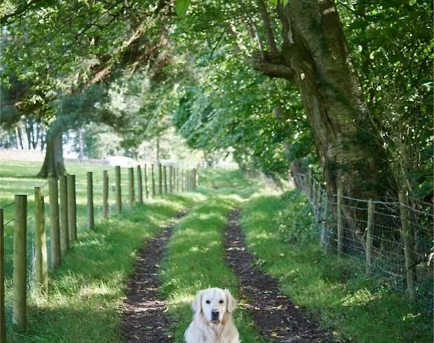 Newlands Farm Stables *