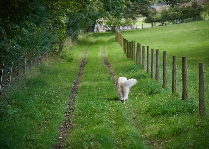 Newlands Farm Stables Holiday home