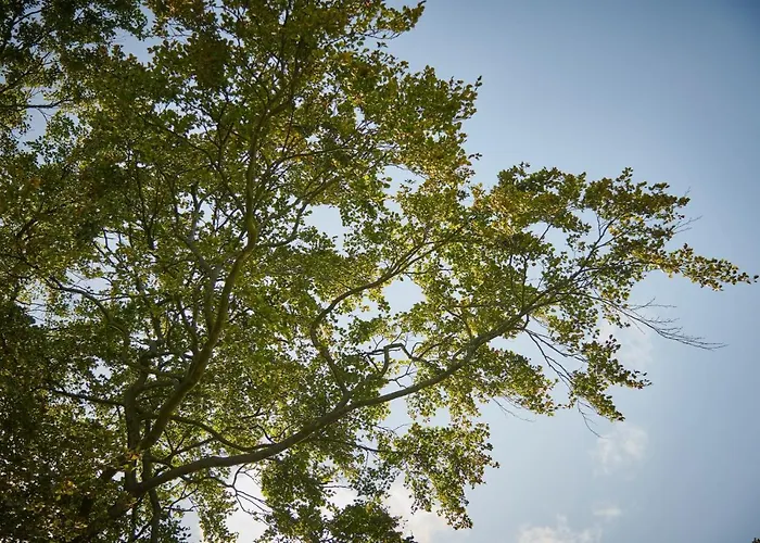 Newlands Farm Stables * Kendal
