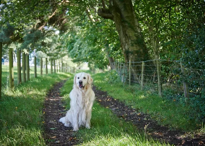Newlands Farm Stables Holiday home Kendal