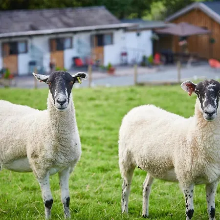 Newlands Farm Stables Kendal
