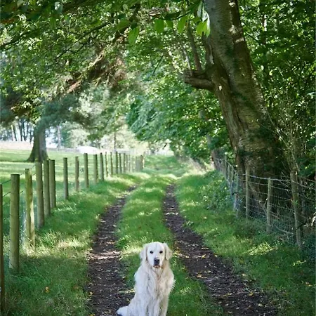 Newlands Farm Stables *