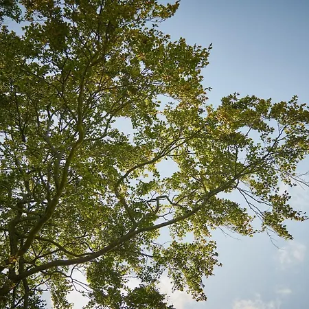 Newlands Farm Stables * Kendal